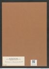 Dicladiopsis (Dicladia?) robusta DT. (de-Toni-Nr.: Genus 151, Species 4196) Zeichnungen Sammlung Grunow Mappe 04198 (Herbarium_W_Grunow_drawings_Folder_04198)
